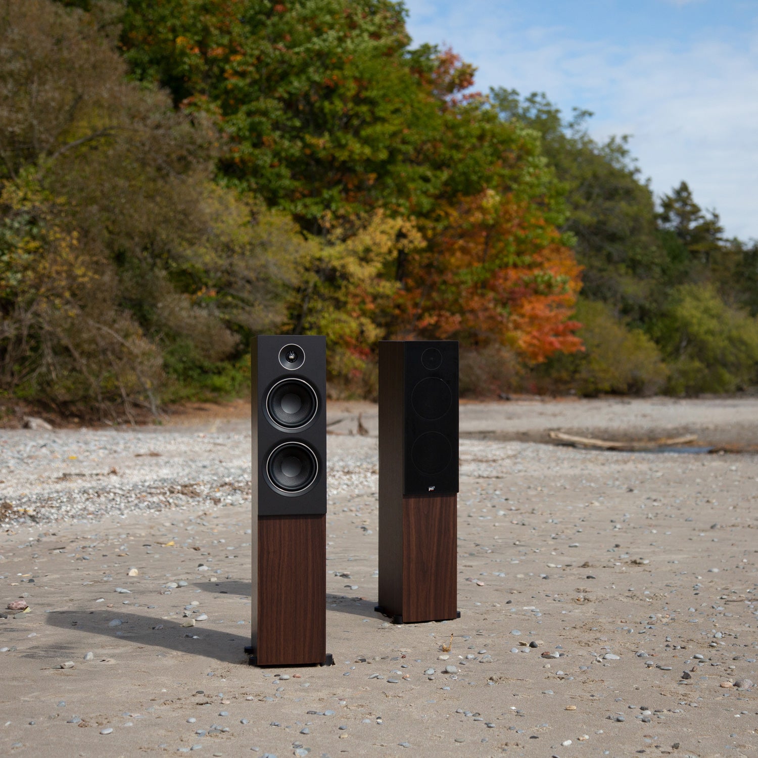 PSB Speakers Alpha T20 Walnuss